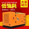 大澤50kw靜音柴油發電機大柴大尺寸